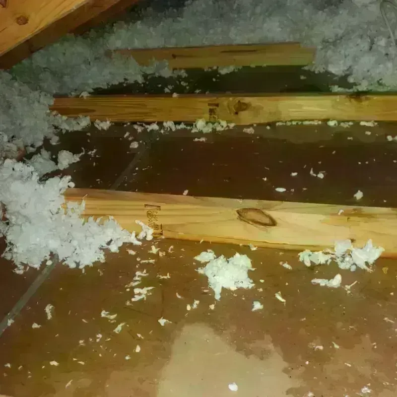 Attic Water Damage in Coldwater, MS