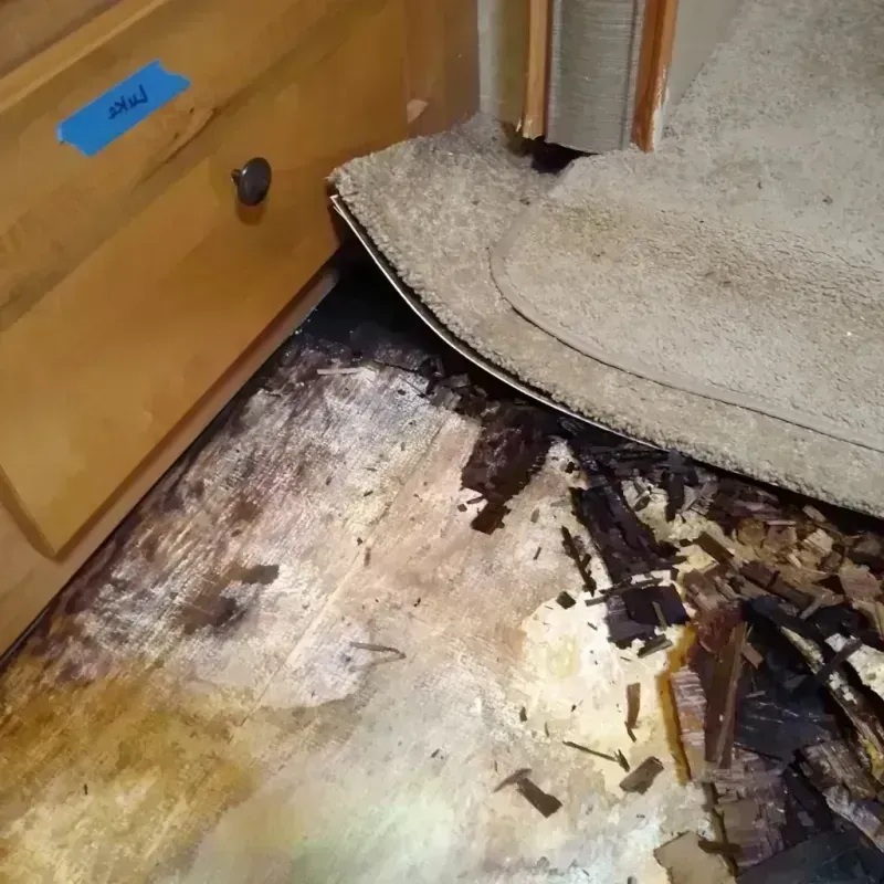 Wood Floor Water Damage in Coldwater, MS